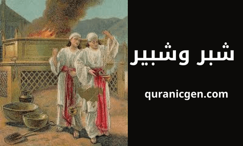 مقال يسلط الضوء على الأبعاد الرمزية واللغوية للأسماء شبر وشبير وناداب وأبيهو، كجسر يربط بين التراث الإسلامي واليهودي في إطار القيادة الروحية والتاريخ المشترك.
